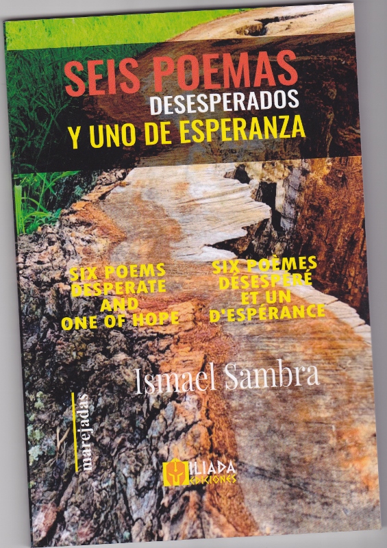 SEIS POEMAS DESESPERADOS Y UNO DE ESPERANZA